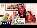 Watch Do Biwiyan Ek Bechara Episode 11 - 3rd November 2018 - ARY Digital Drama Online In Hd