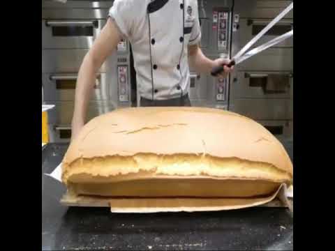 original chocolatee jiggly cake cutting