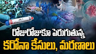 New Coronavirus Cases Rising in India | Covid JN 1 Variant in AP | Coronavirus Telugu |@SakshiTV