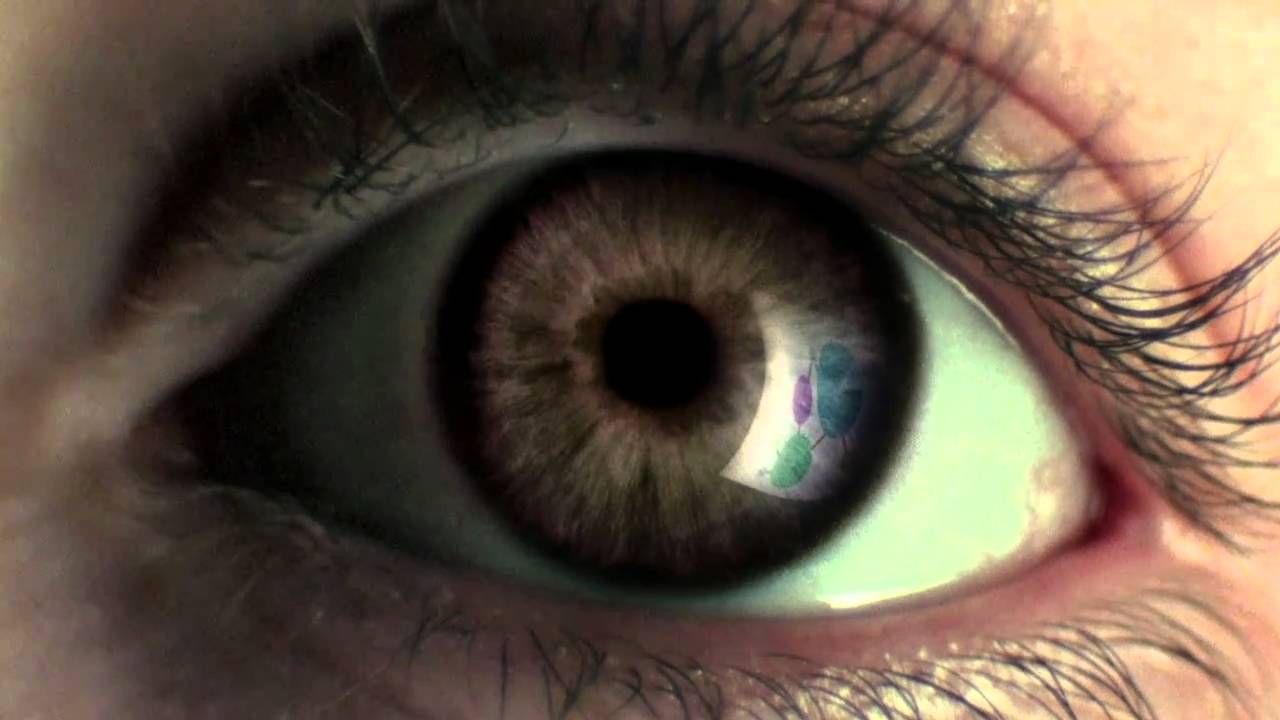 Carl Wieman Science Education Initiative