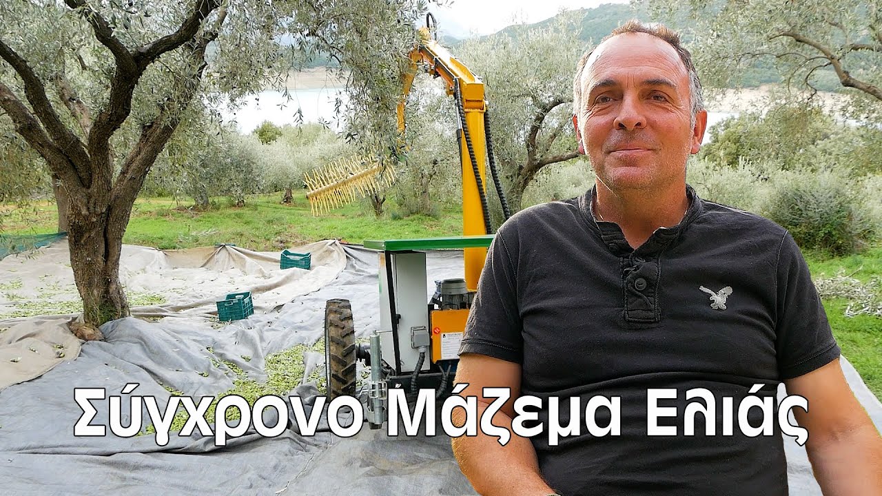 Έτσι Μαζεύει ο Δημήτρης τις Ελιές Σήμερα | Από την Παράδοση στην Τεχνολογία – Video