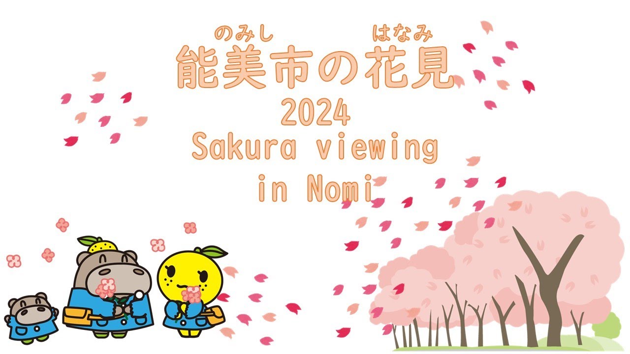 Cherry Blossom Viewing in Nomi City 2024 (Easy Japanese Version