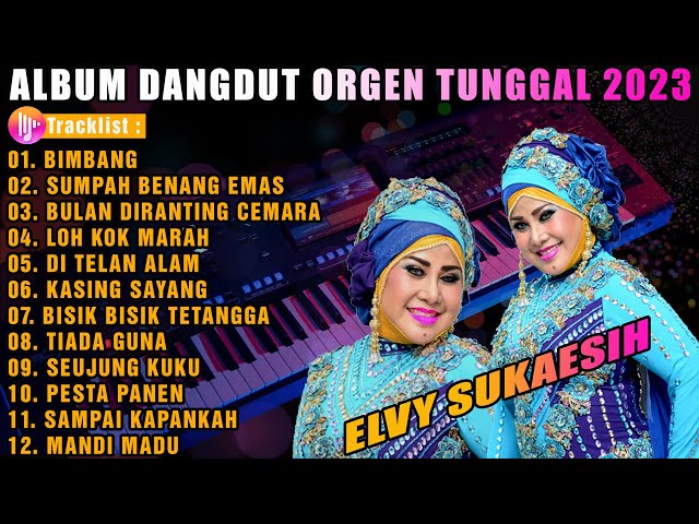 ALBUM DANGDUT ORGEN TUNGGAL SPECIAL ELVY SUKAESIH TERBARU || ENAK DI DENGAR class=