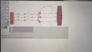 Virtual Neuron Final Project