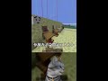 #shorts 【JAVA版・統合版・スイッチ参加型】マイクラサバイバルSMP参加型！ マインクラフト