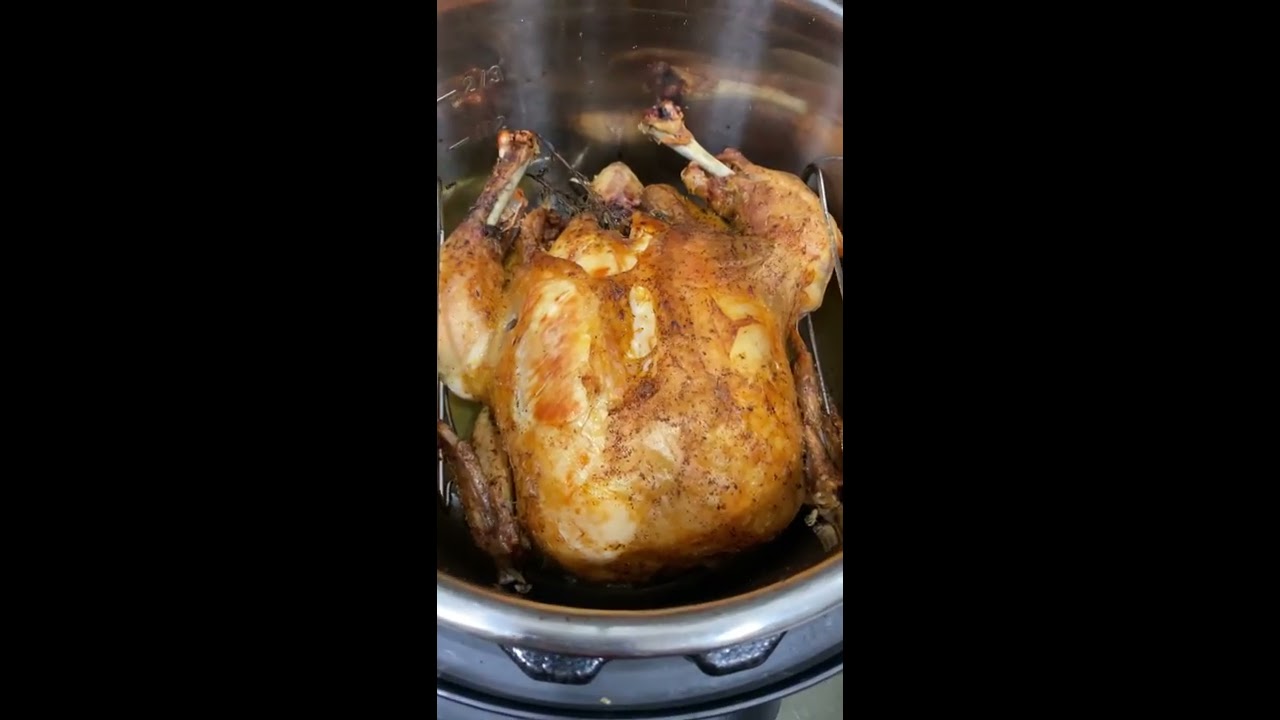 Whole Chicken in the InstantPot Duo Crisp + Air Fryer – Jillian Rosado