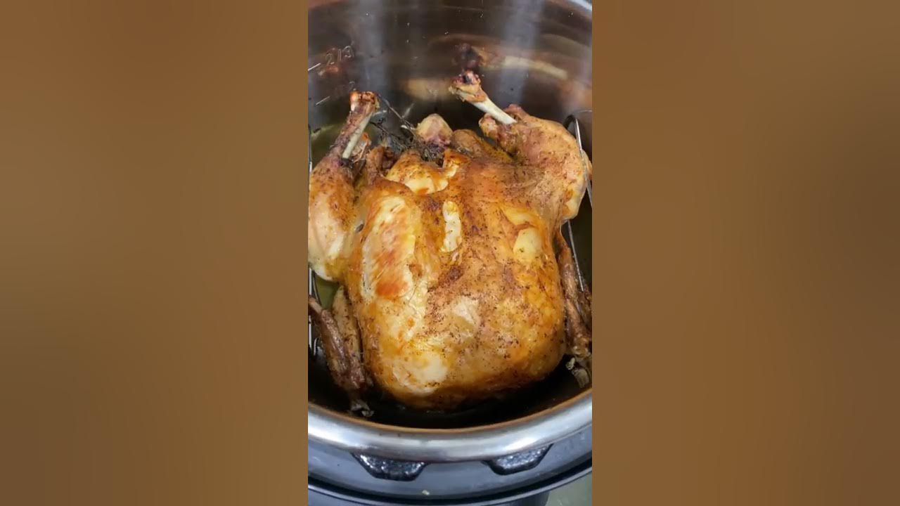 Whole Chicken in the InstantPot Duo Crisp + Air Fryer – Jillian Rosado