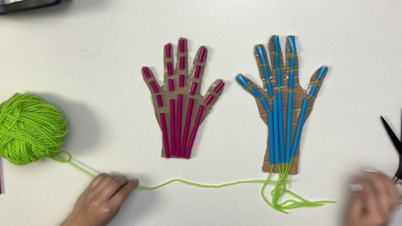 Muscular System Hand Project