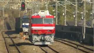EF210-121牽引貨物列車 新秋津駅通過