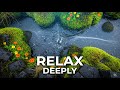 💥🎶 Ancient Mossy Riverbank Ambience | Soft Rainfall &amp; Morning Birdsong for Deep Sleep