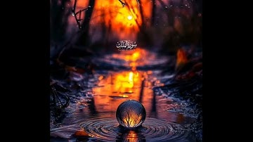 سورة الملك كاملة : #قرآن #قران_كريم #إسلام #اسلاميات #اكسبلور #explore #دين #دعاء #أذكار #راحة_نفسية