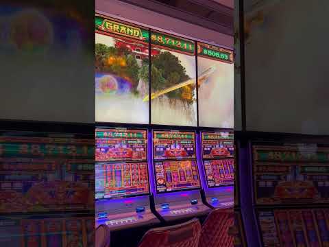 $12.50 Bet and B2B Bonus on Dragon Link Slot #casino #bet #luck #slotwins