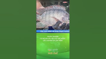 Trước tin đồn “cá rô phi gây hại cho sức khỏe”, các chuyên gia lên tiếng | NNST