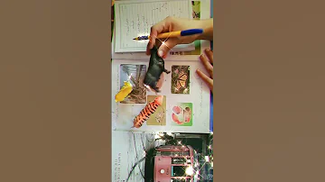 علوم الصف الاول الابتدائي الكائنات الحيه والغير حيه مس صفا 