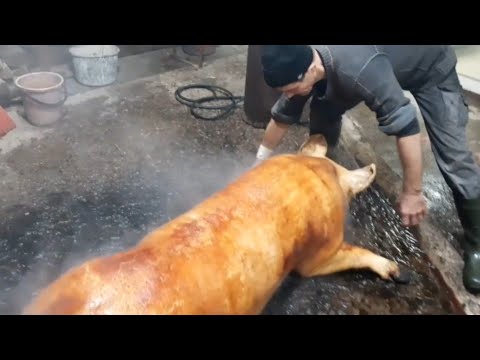 Video: Atšķirība Starp Cilpu Un Foreach Cilpu