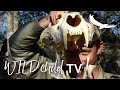 WILDchild TV | Becoming a Ranger | How an Animal Works: Lion | Part Three