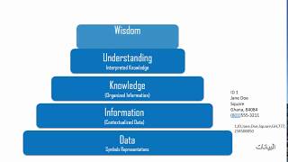 Famous The Difference Between Information,Knowledge and Wisdom Net Worth
