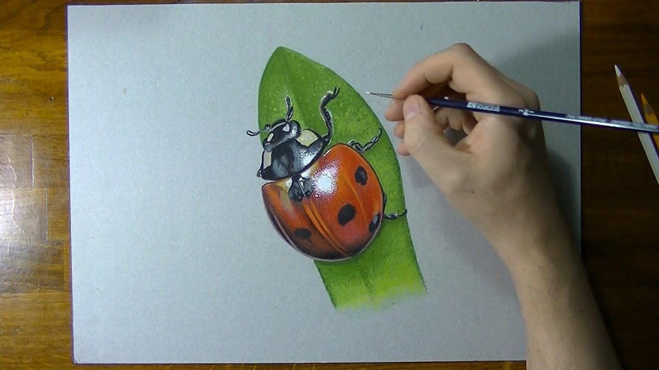 How to draw a ladybug - YouTube