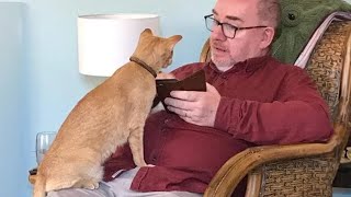 When your cat has a deep conversation with you | Funny Cat and Human