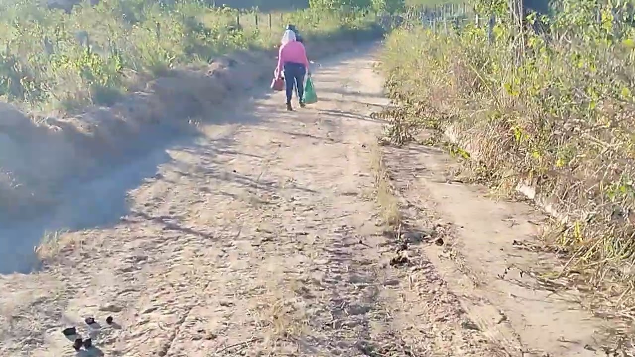 21 de fevereiro de 2026 vem comigo mais uma aventura Odair natureza 