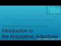 Introduction to the Accusative: Adjectives