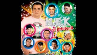 Nek si Liviu Pustiu - Iar e petrecere (Audio original)