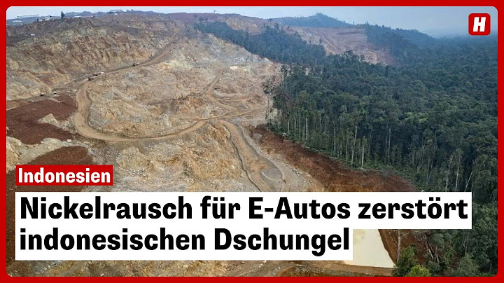 Nickelrausch für E-Autos zerstört indonesischen Dschungel