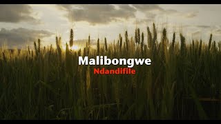 Malibongwe – Ndandifile