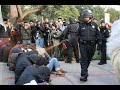 Remembering UC Davis Gassing November 18, 2011
