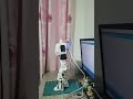 DIY Humanoid Robot Daily Log