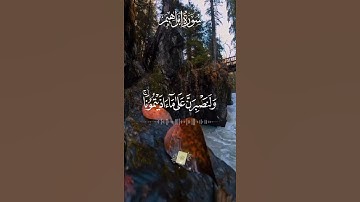 سورة إبراهيم  بصوت القارئ سعد الغامدي