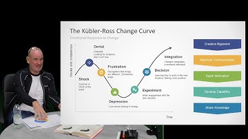 Culture   Change Curve