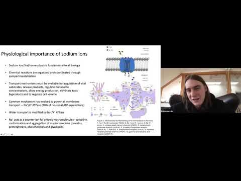 Video: Correzione Del Volume Parziale Per L'etichettatura Degli Spin Arteriosi Utilizzando Le Informazioni Di Perfusione Intrinseche Di Misurazioni Multiple