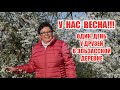 Как живут французы в деревне / Один день у друзей/ Эльзасская деревня / Как французы накрывают стол