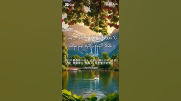 سورة ال عمران #القرآن_الكريم #اكسبلور #دويتو #راحة_نفسية #قرآن #قران_كريم #duet #تيك_توك