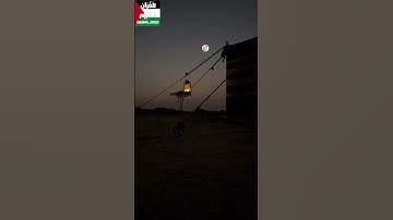 سورة آلِ عِمْرَان #قرآن #القرآن_الكريم #مسجد #اكسبلور #surrah #allahuakbar #freepalestine