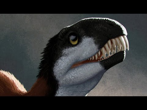 Daemonosaurus: One Of The Most Unusual Dinosaurs Of The Triassic Period
