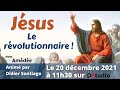 Jésus, le Révolutionnaire par Amédée