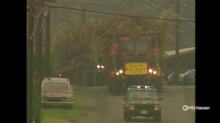 The Last Days of Sugar on Hawaiʻi Island (1996) | PBS HAWAIʻI CLASSICS