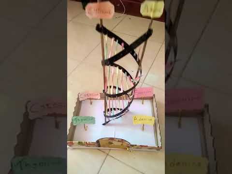 Video: Apakah Double Helix yang mudah?