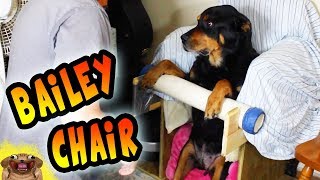 Megaesophagus - Bailey Chair