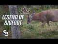 The Legend of Bigfoot | A Giant Northeastern Whitetail | Sea Bucks