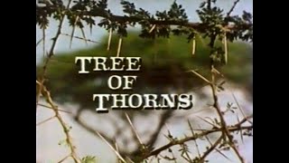 Acacia: Tree of Thorns (1983)