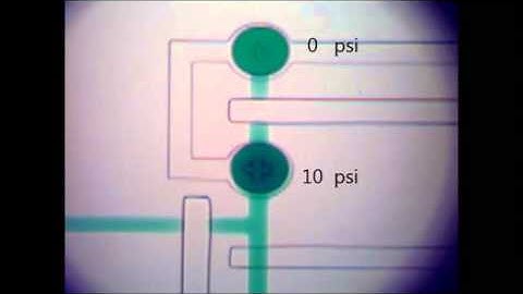 Microfluidic serial digital to analog pressure converter for arbitrary pressure generation and..