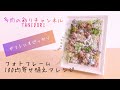 フォトフレーム　多肉植物寄せ植え100均アレンジ