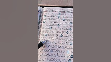 سورة" نوح"