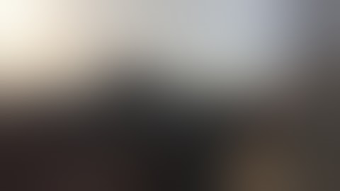 I interrupt CalebGenshinImpactAnimations