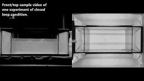 Closed-loop control of zebrafish behaviour in three dimensions using a robotic stimulus