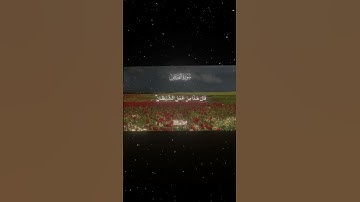 سورة القصص|15-17|القارئ:#محمد_اللحيدان #قران #quran #راحة_نفسية #قران_كريم#تلاوة_هادئة #تلاوة_خاشعة