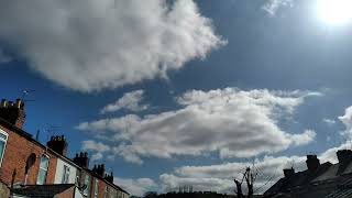 Video thumbnail of "Kristin Hersh - 'Shotgun' - backyard cloud sky timelapse"